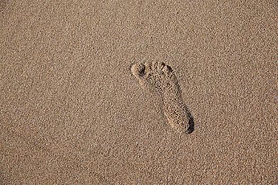 机娘恋爱《Qualia约定的轨迹》5月登陆Switch